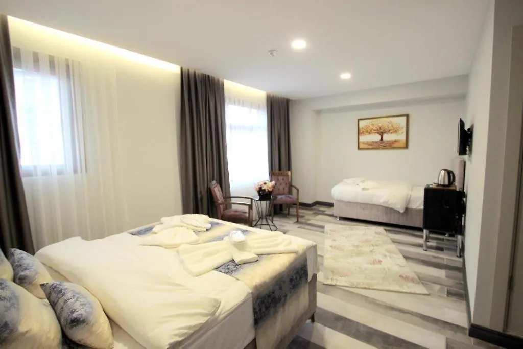 Guler Palas Hotel 0*, 伊斯坦布尔 土耳其